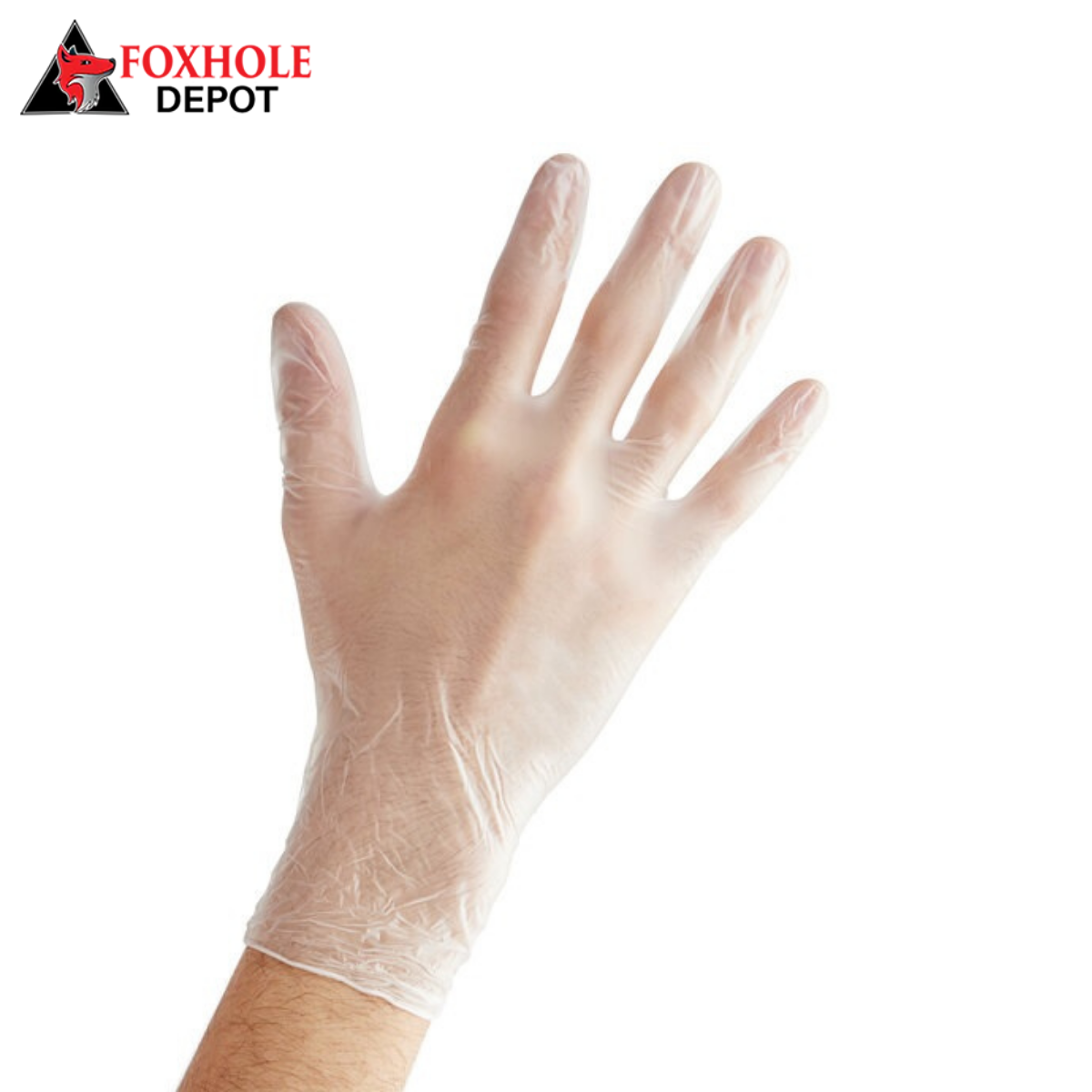 Powder Free Disposable Vinyl Gloves for Foodservice - 1000/Case