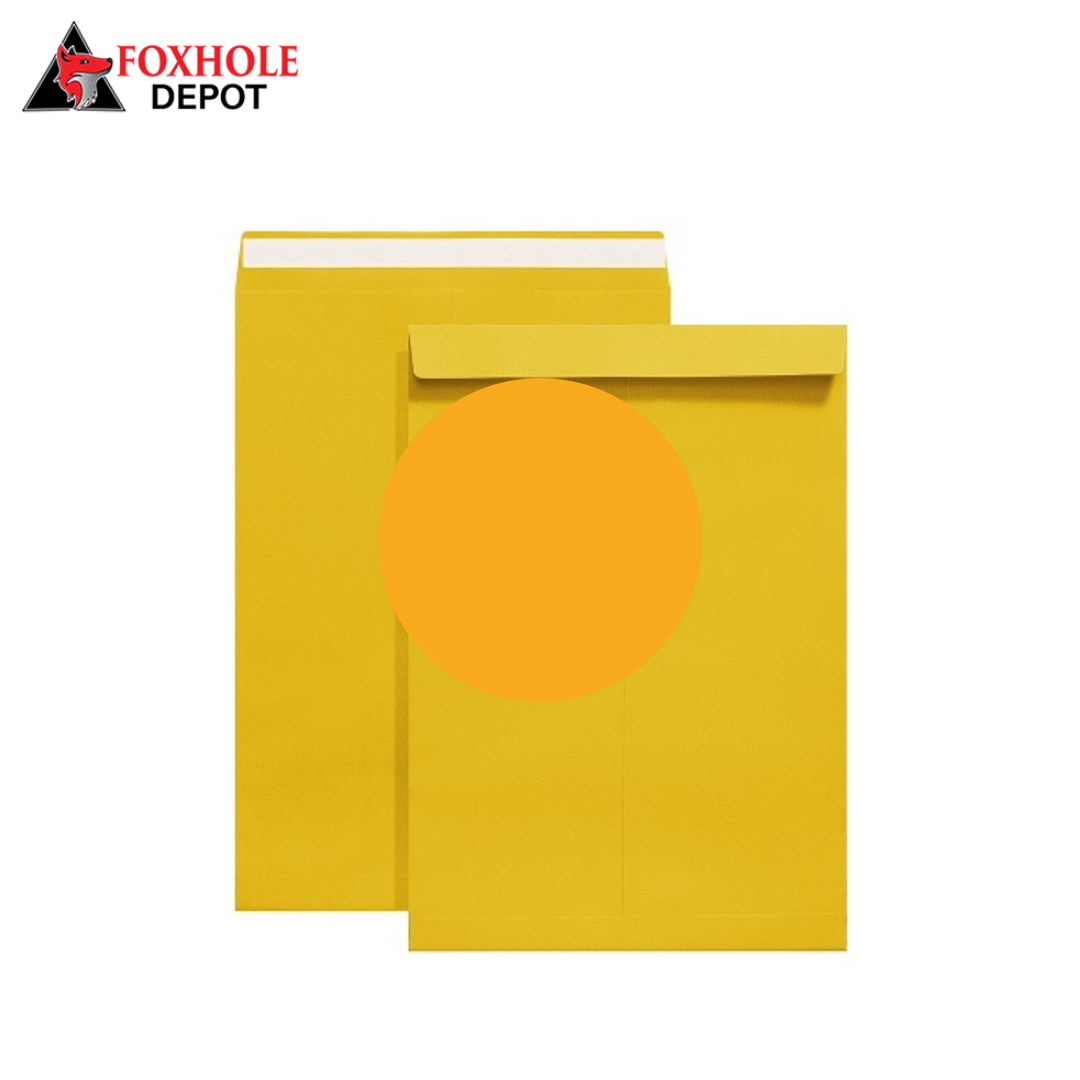 9" x 12" Catalog Mailing Envelopes File Envelope Self Seal - 250/Case