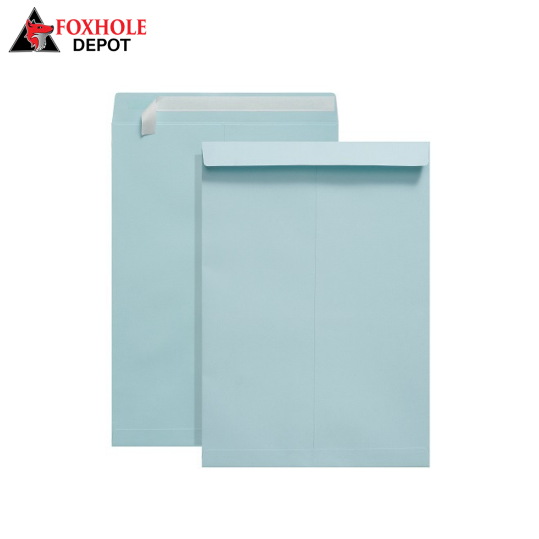 9" x 12" Catalog Mailing Envelopes File Envelope Self Seal - 250/Case - Blue
