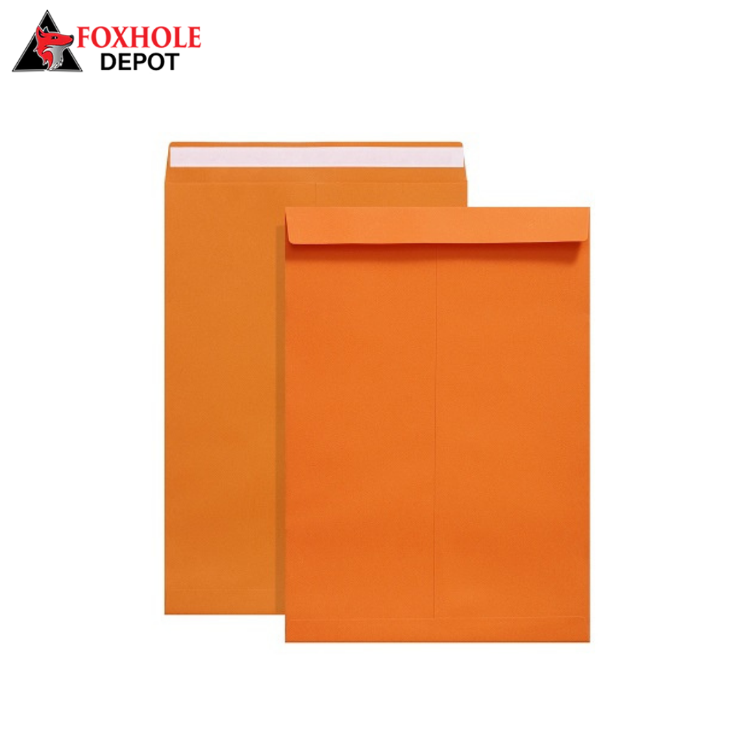 9" x 12" Catalog Mailing Envelopes File Envelope Self Seal - 250/Case - Orange